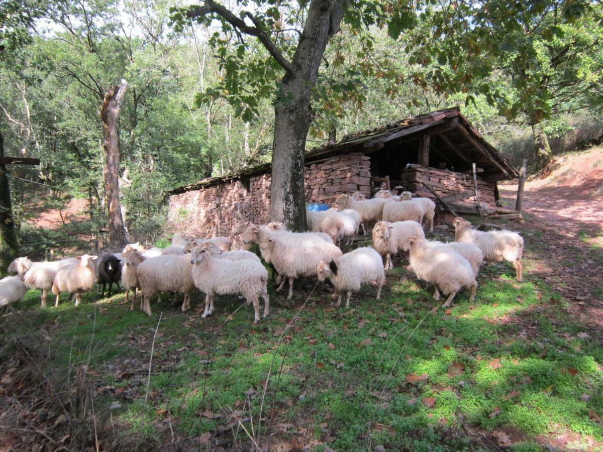 Casa Rural Lakoizketa Legasa Luaran gambar