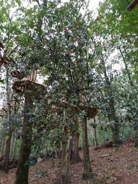 Casa Rural Lakoizketa Legasa Luaran gambar